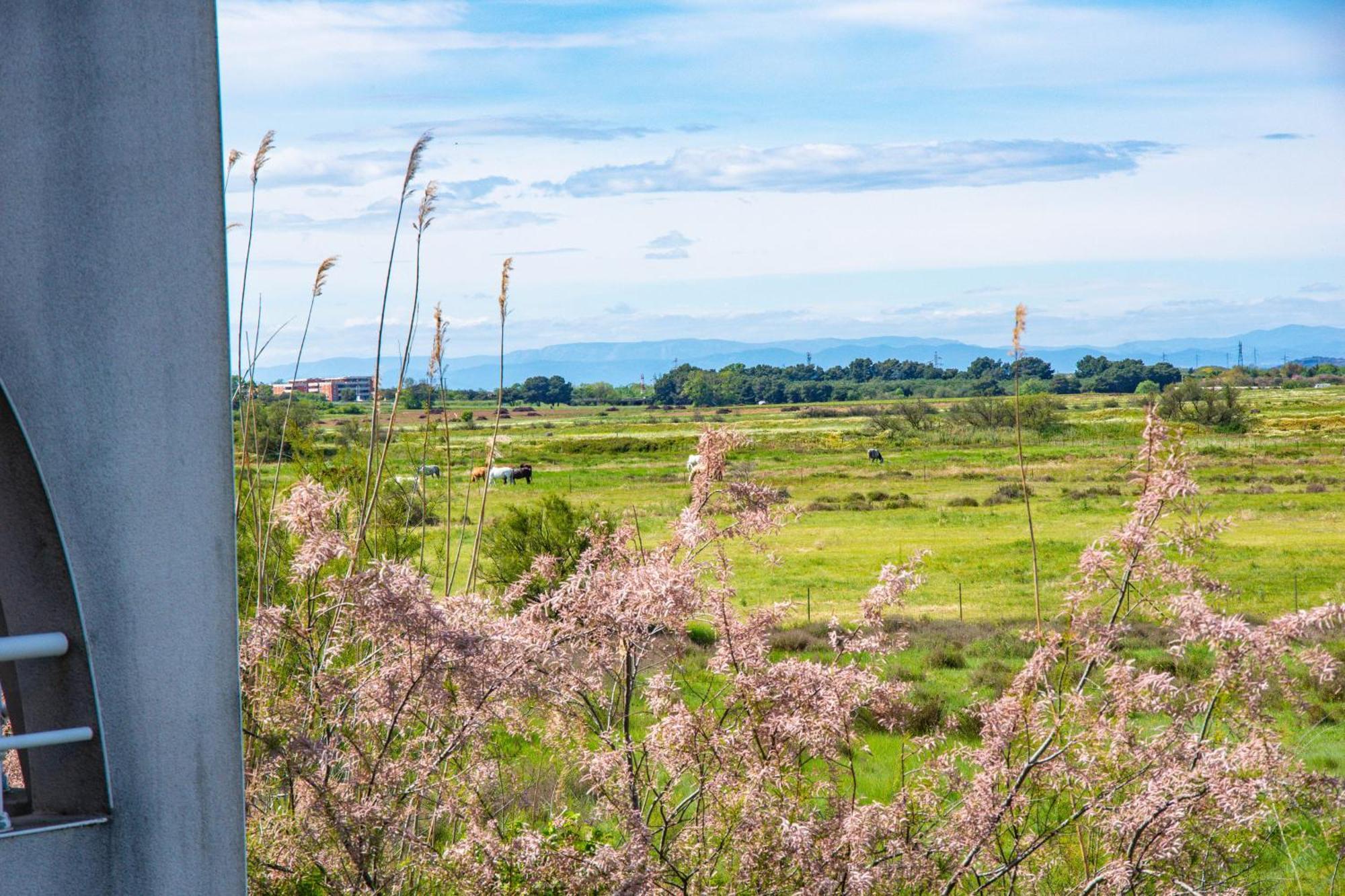 Residence Hoteliere Natureva & Spa Agde Eksteriør billede